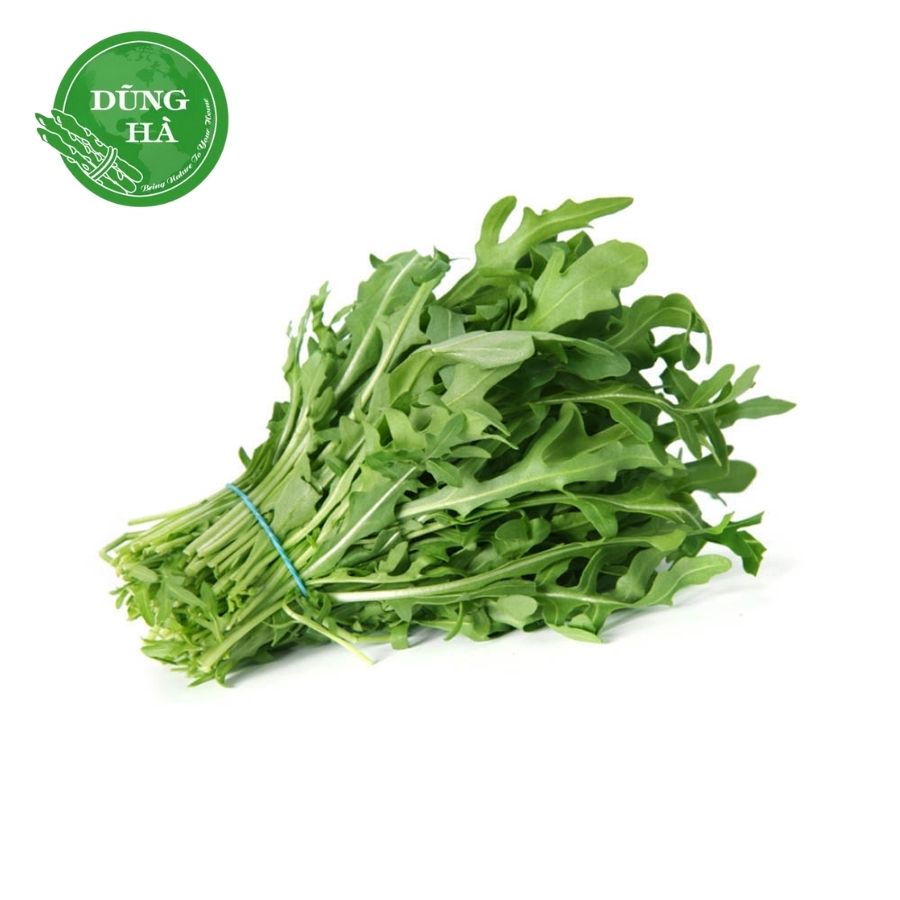 Xà lách rocket đà lạt