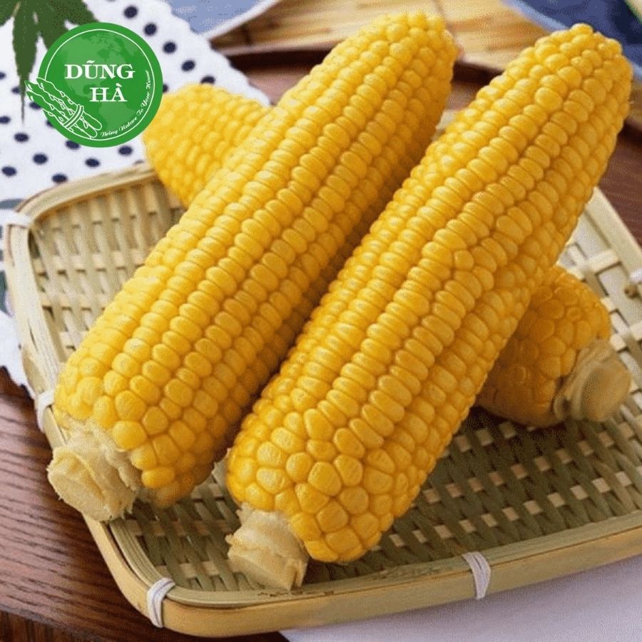 Ngô