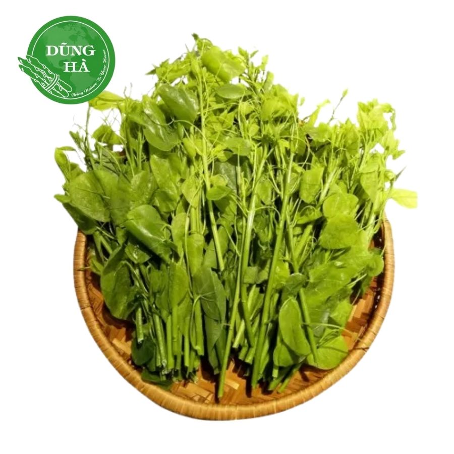 Rau bò khai – Món quà từ núi rừng, hương vị dân dã và công dụng tuyệt vời