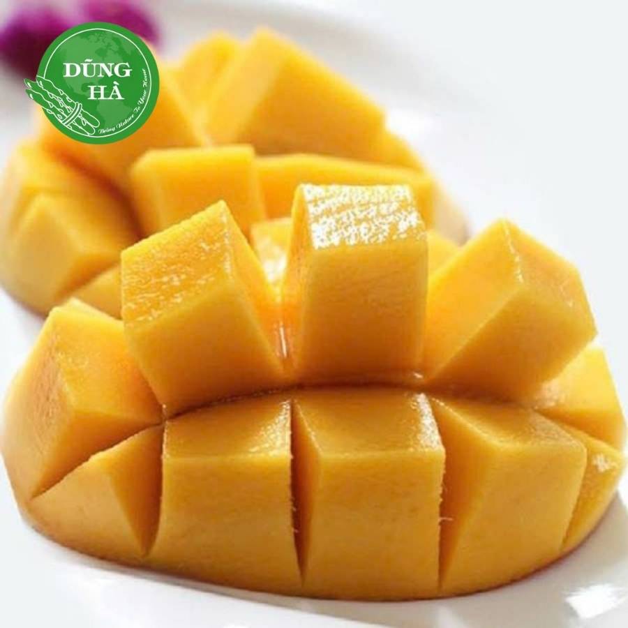 Xoài cát chu/xoài tứ quý