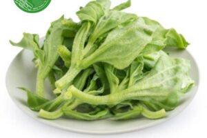 Rau bông tuyết – “Nữ hoàng rau sạch” từ thiên nhiên, tốt cho sức khỏe và sắc đẹp