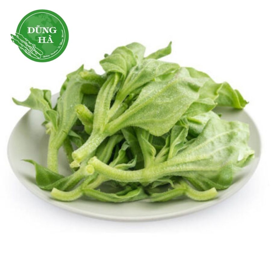 Rau bông tuyết – “Nữ hoàng rau sạch” từ thiên nhiên, tốt cho sức khỏe và sắc đẹp