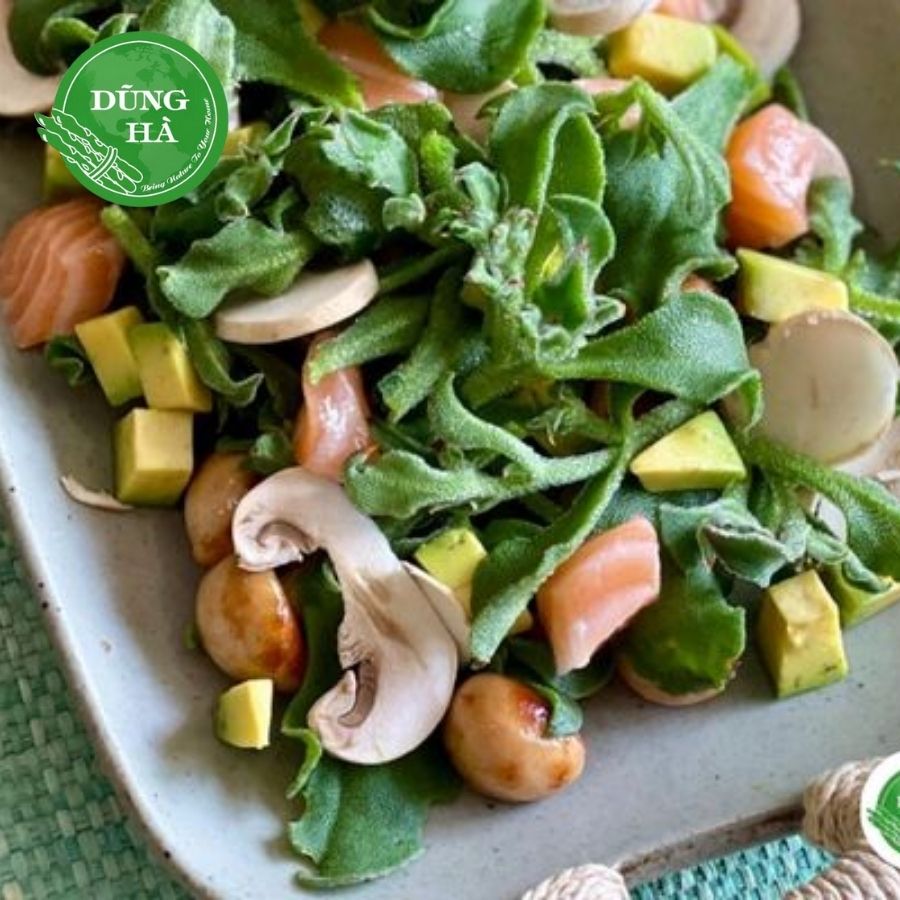 Rau bông tuyết – “Nữ hoàng rau sạch” từ thiên nhiên, tốt cho sức khỏe và sắc đẹp