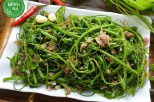 Rau bò khai làm món gì? Tổng hợp 7 món ngon dân dã, đậm vị núi rừng