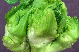 Rau Mầm Đá – Đặc Sản Núi Cao Giàu Dinh Dưỡng, Thanh Mát Tự Nhiên