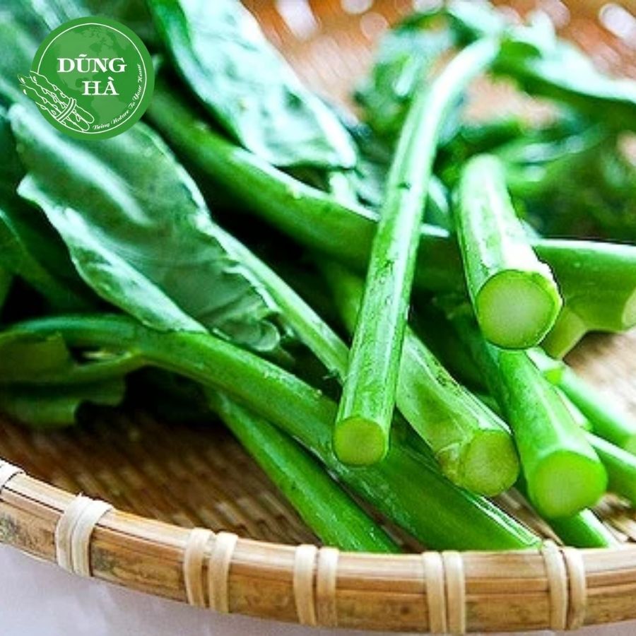 RAU CẢI LÀN LẠNG SƠN – ĐẶC SẢN VÙNG NÚI CAO, GIÒN NGỌT TỰ NHIÊN, ĐẬM HƯƠNG VỊ XỨ LẠNG