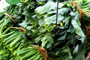 RAU CẢI LÀN LẠNG SƠN – ĐẶC SẢN VÙNG NÚI CAO, GIÒN NGỌT TỰ NHIÊN, ĐẬM HƯƠNG VỊ XỨ LẠNG