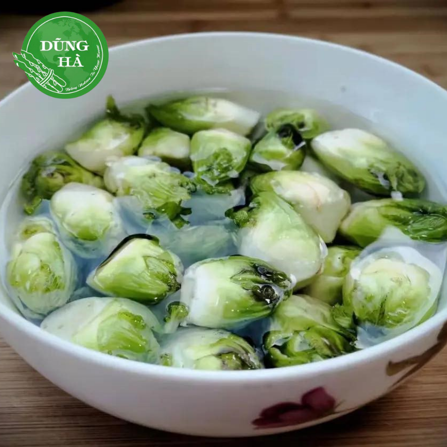 Rau Mầm Đá – Đặc Sản Núi Cao Giàu Dinh Dưỡng, Thanh Mát Tự Nhiên