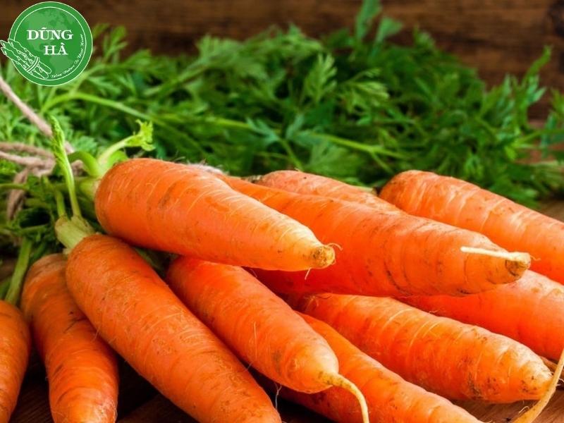 an-ca-rot-co-tac-dung-gi