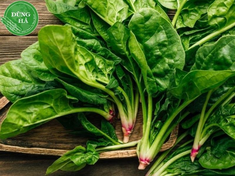 canh-cai-bo-xoi-thit-bam