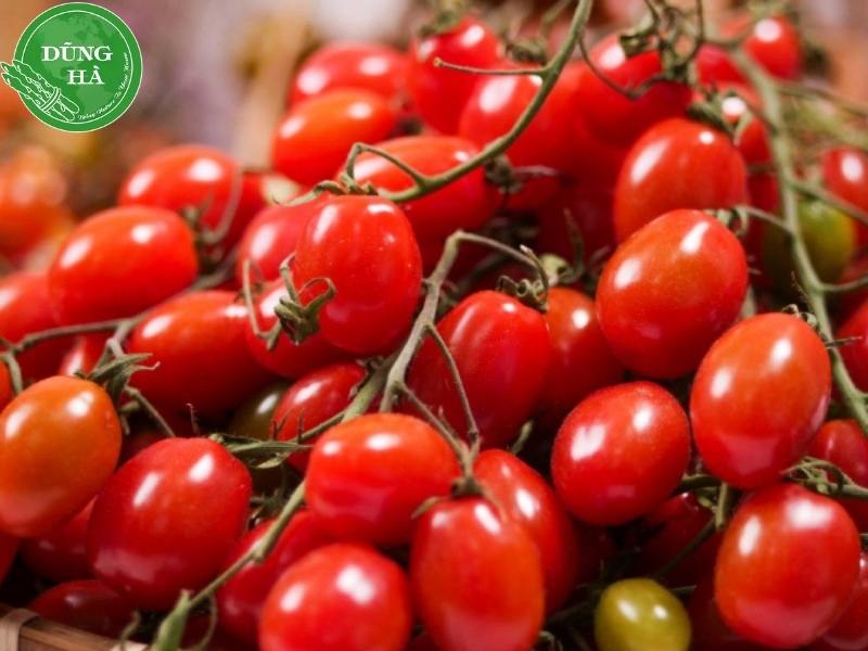 an-ca-chua-bi-co-tac-dung-gi